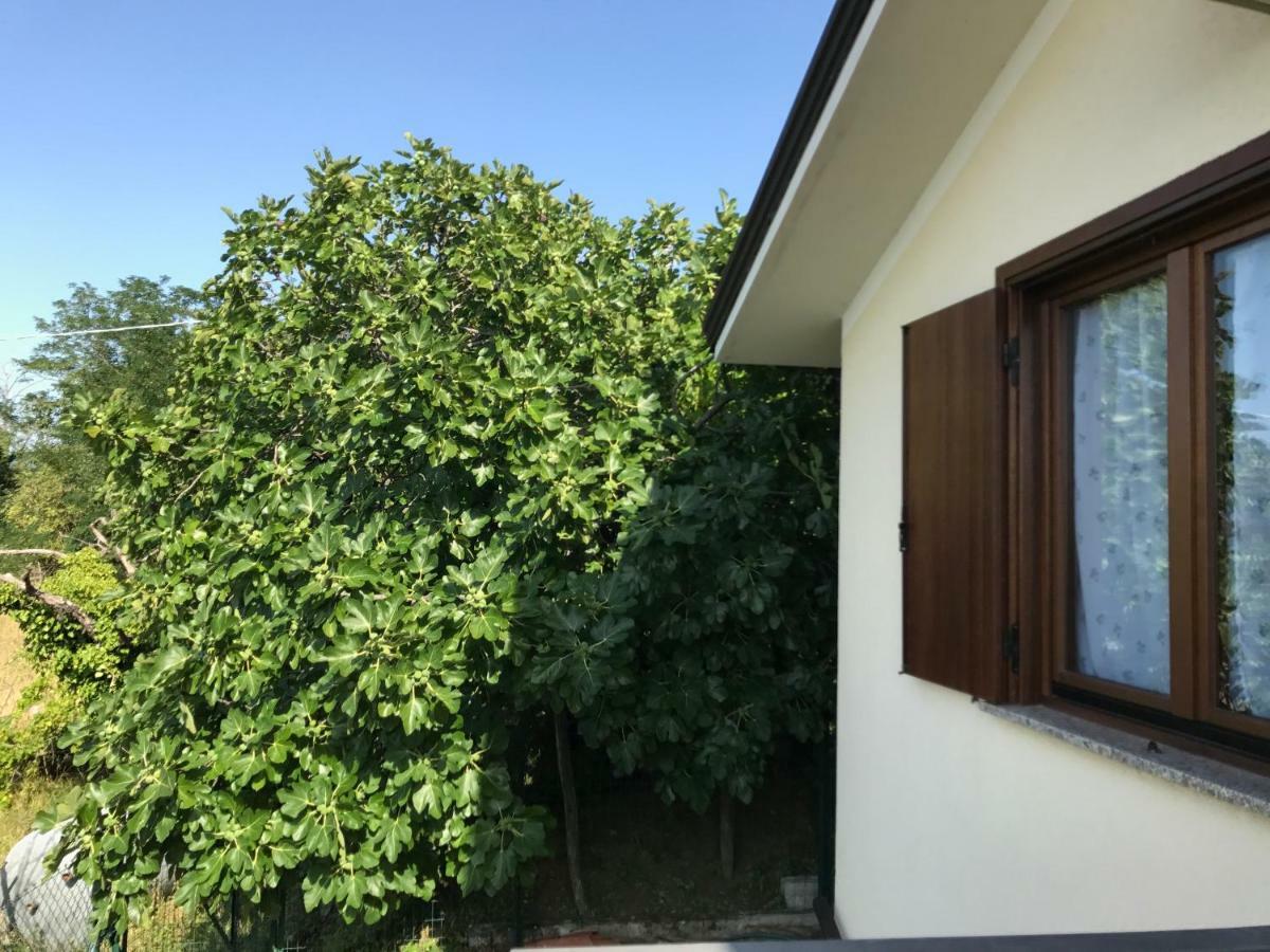 La Casa Di Nonna Bruna Múggia Exteriér fotografie