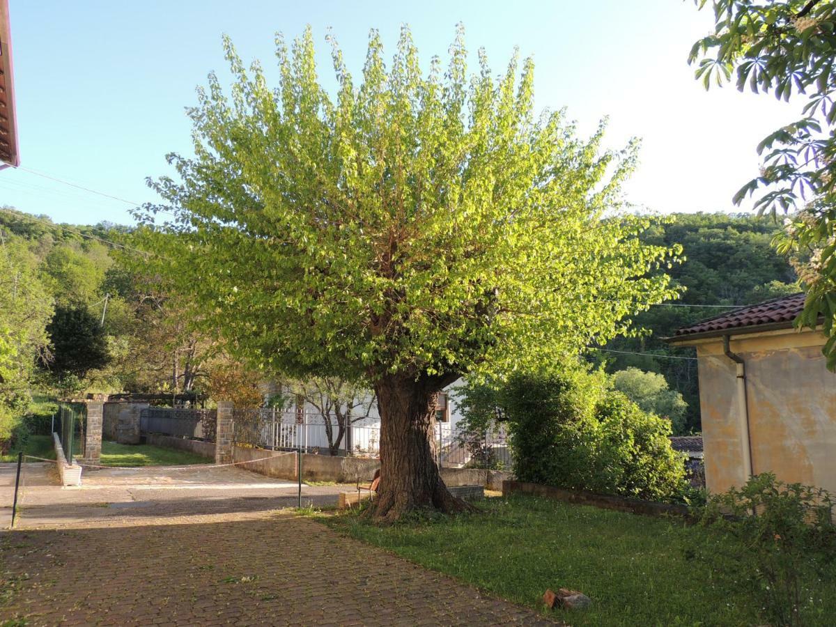 La Casa Di Nonna Bruna Múggia Exteriér fotografie