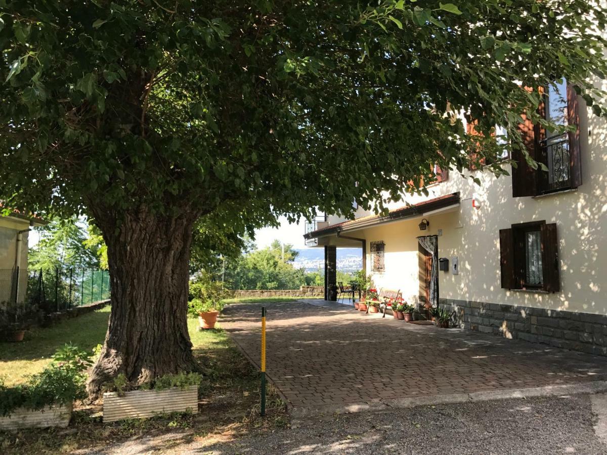 La Casa Di Nonna Bruna Múggia Exteriér fotografie